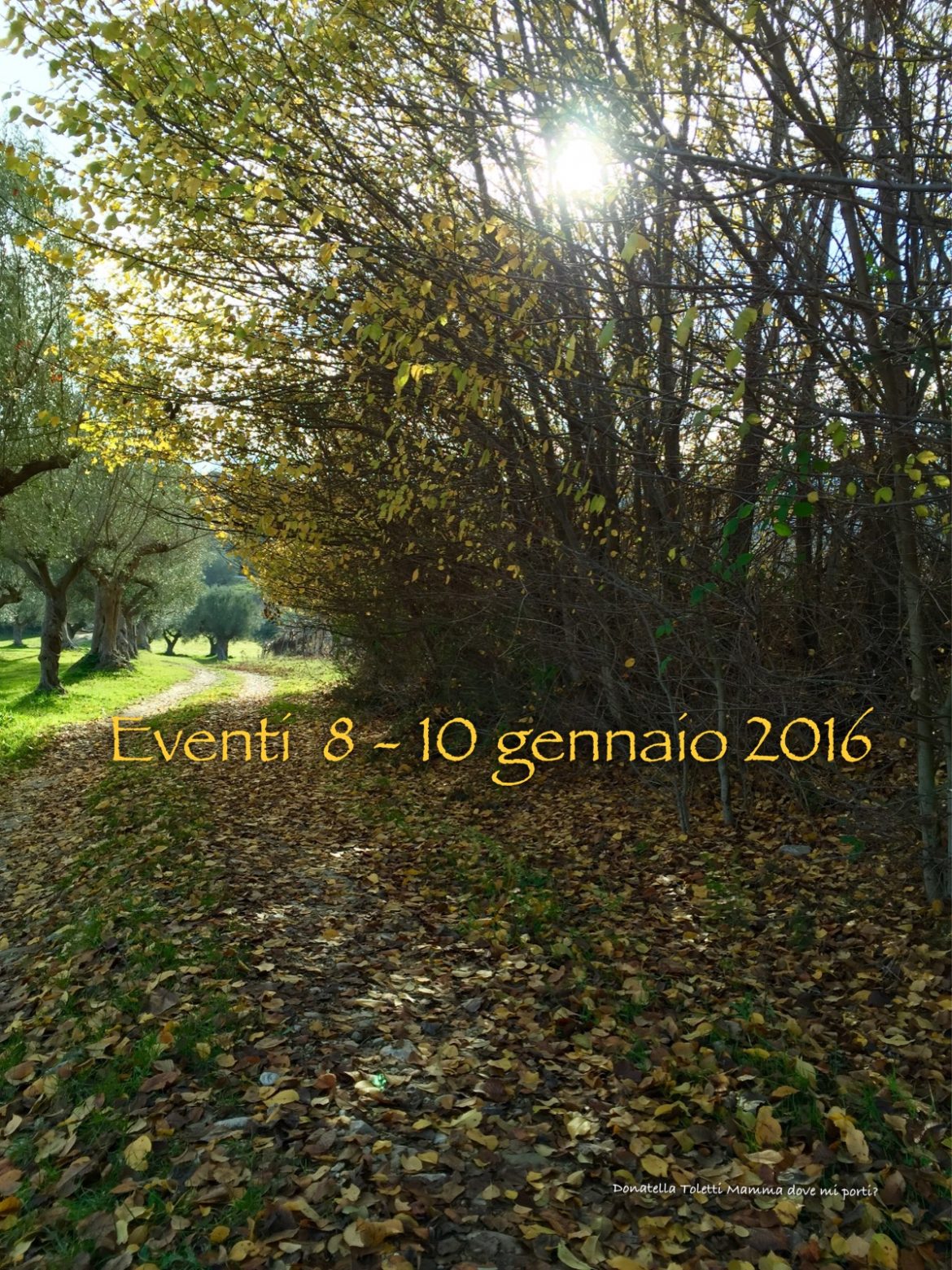 Eventi  8 – 10 gennaio 2016