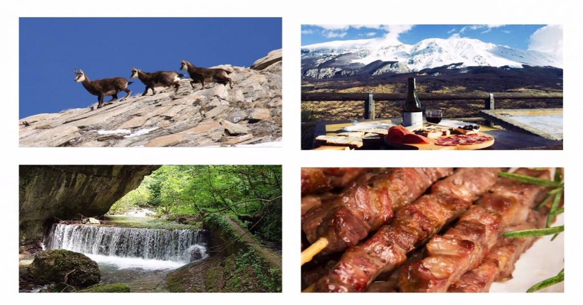 Vuoi vedere il più bel camoscio del mondo? presso l’Hotel Ede di Caramanico Terme
