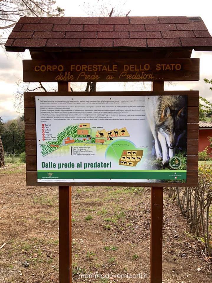 Centro-Visita-del-Lupo-Popoli-22