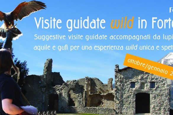 Visite-Wild-Fortezza-Civitella-del-Tronto-Teramo Visite-Wild-Fortezza-Civitella-del-Tronto-Teramo