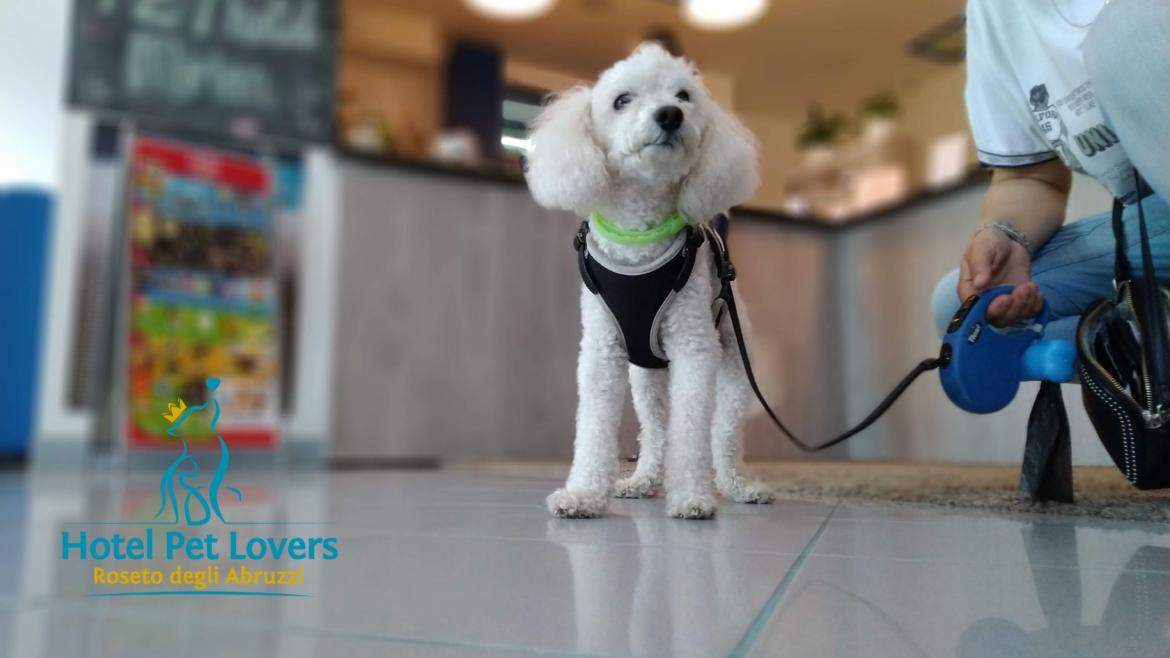 Hotel Marina: pet hotel friendly in Abruzzo certificato Welcome Dogs