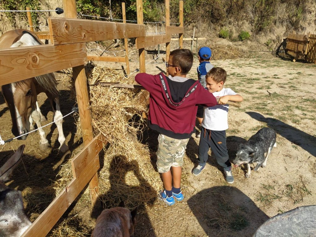 Bimbi che danno da mangiare ai cavalli da Radici Country Club
