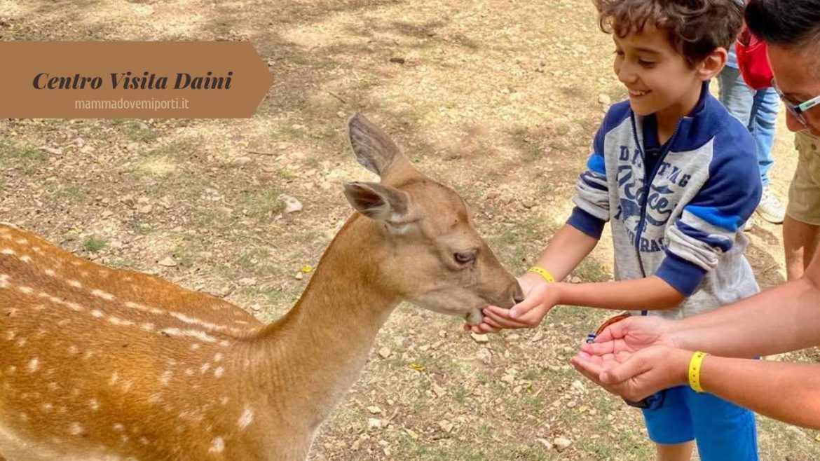 Centro Visita Daini nel Parco Nazionale d’Abruzzo per accarezzarli e dargli da mangiare