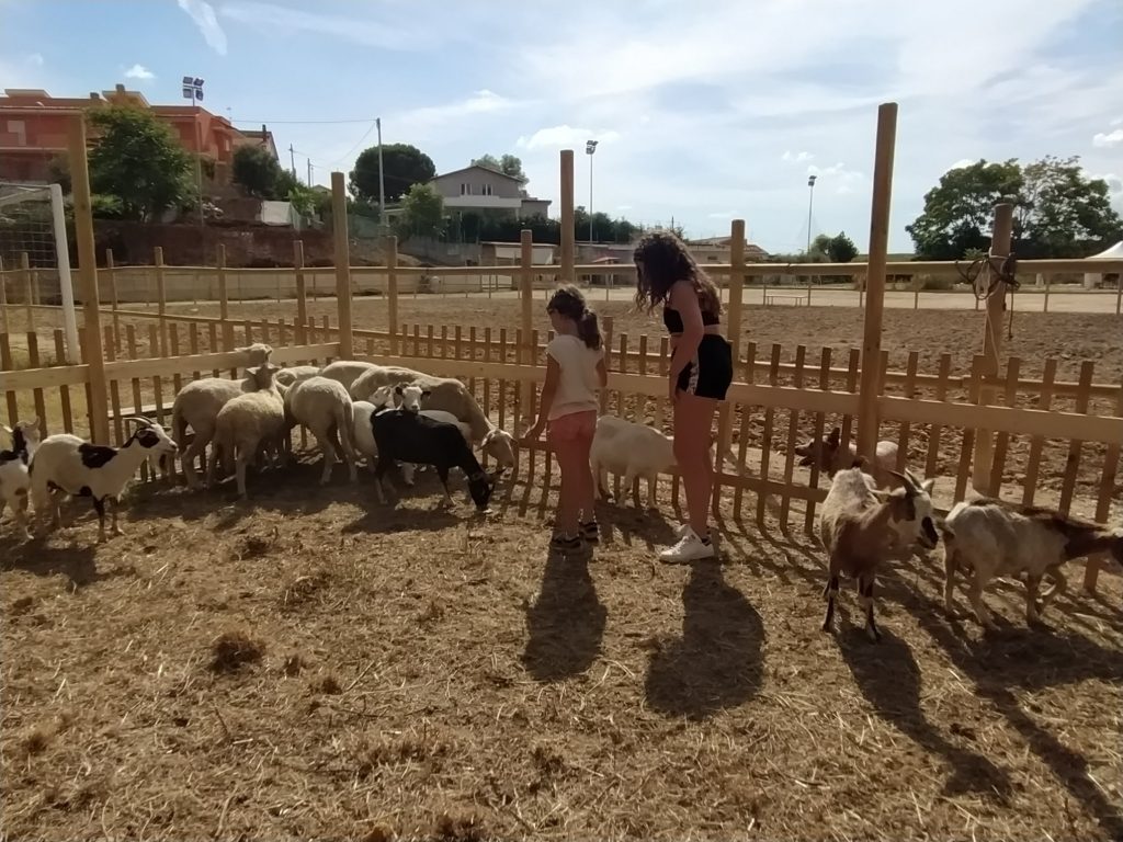 Fattoria didattica Radici Country Club di Pescara