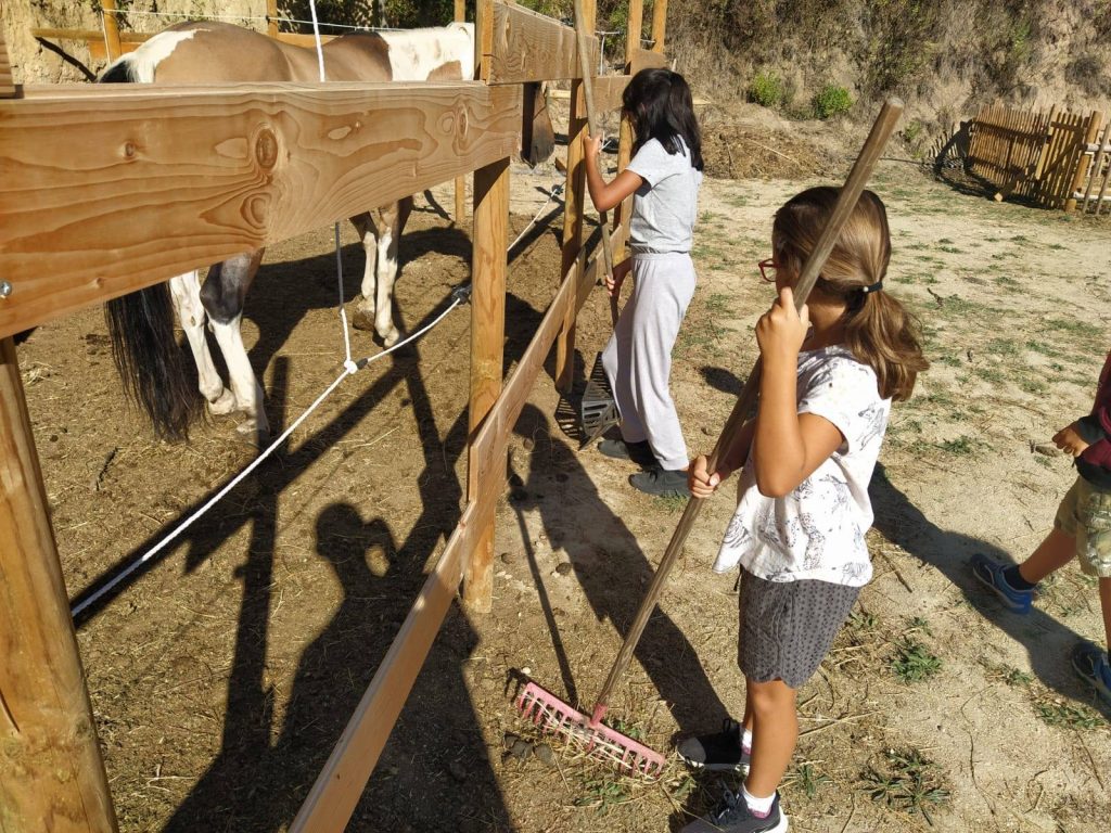 Si accudiscono gli animali da Radici Country House di Pescara