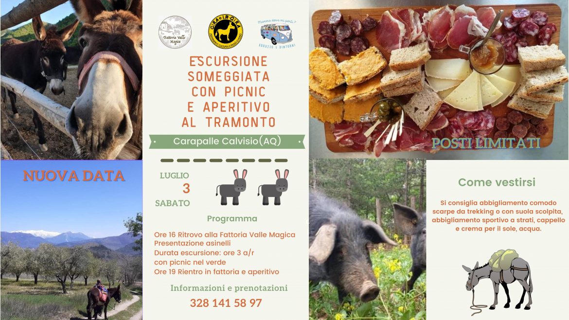 Escursione someggiata con picnic e aperitivo al tramonto – Nuova Data