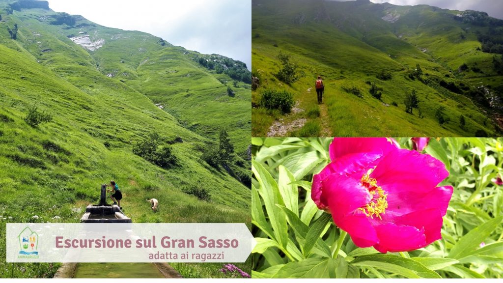 Escursione sul Gran Sasso adatta ai ragazzi.jpg