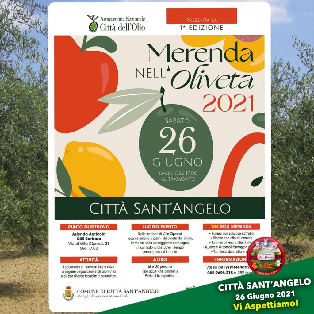 Merenda nell'olivea a Città Sant'Angelo presso Azienda Agricola Cilli Barbara