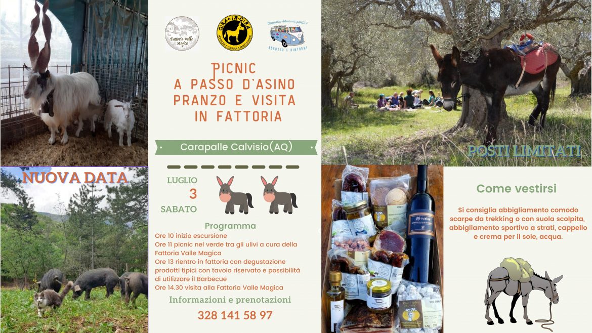 Picnic a passo d’asino con pranzo e visita in Fattoria – Nuova Data