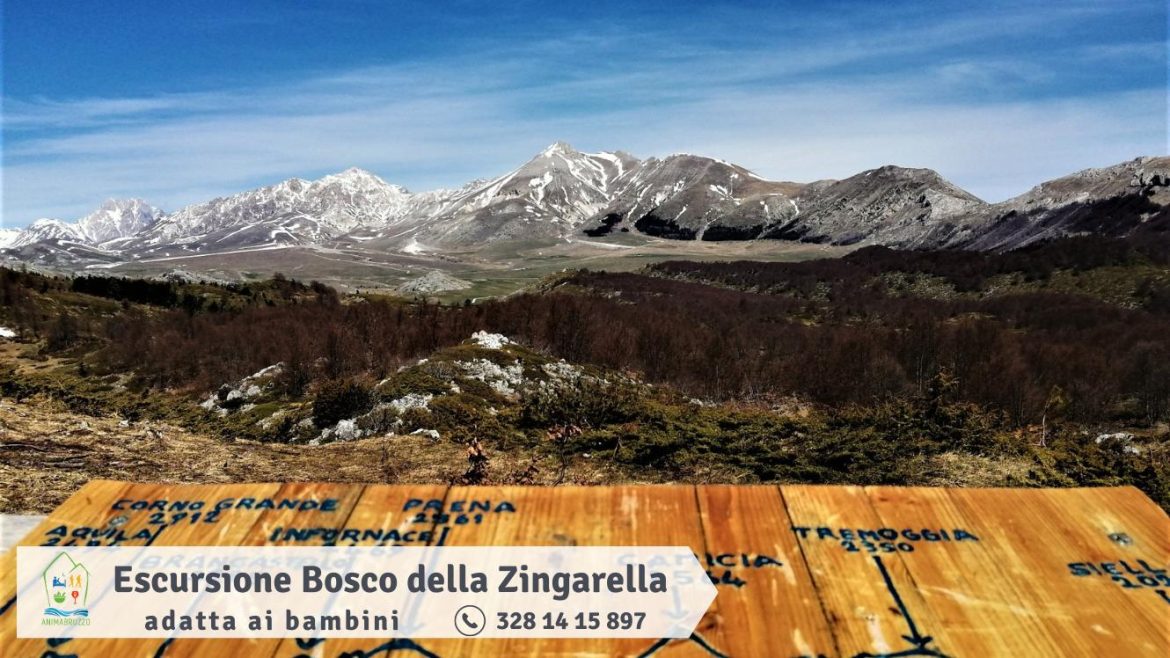 Escursione per bambini al Bosco della Zingarella con i panorami di Campo Imperatore