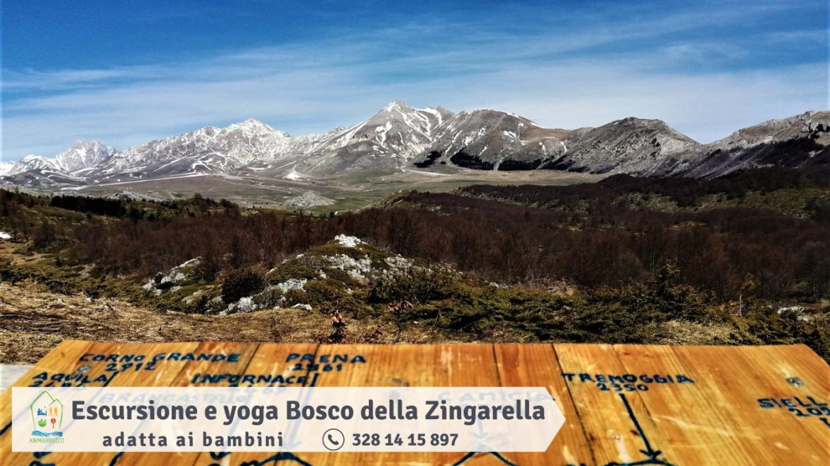 Escursione e Yoga nel Bosco della Zingarella adatta ai bambini