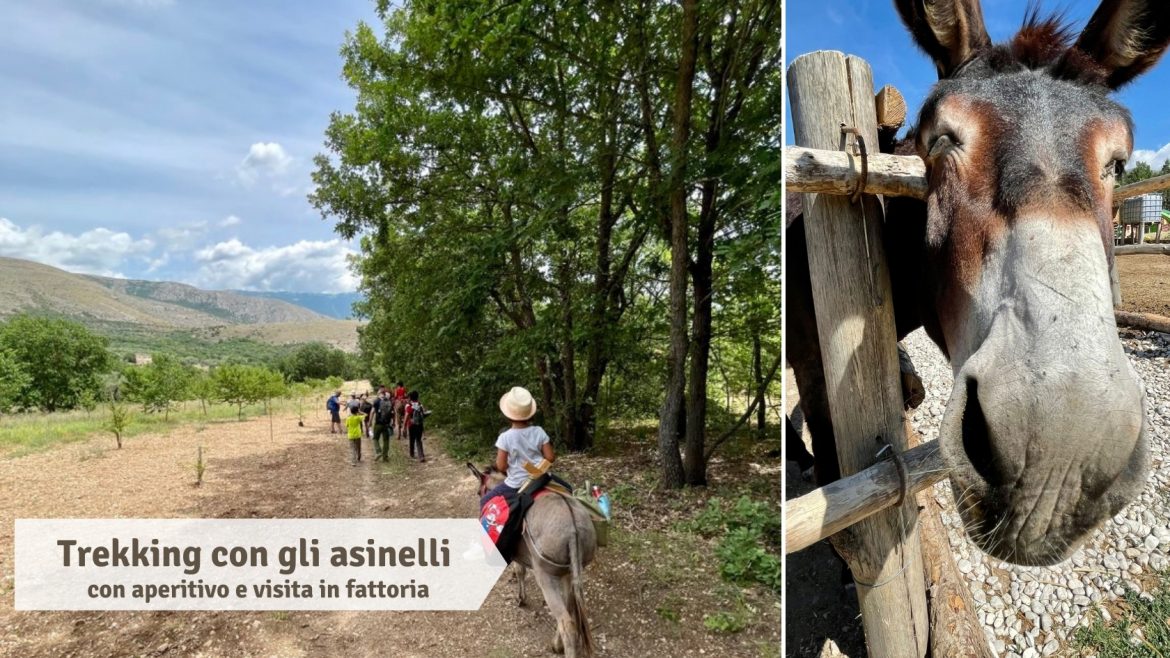 Trekking con gli asinelli, aperitivo e visita in fattoria