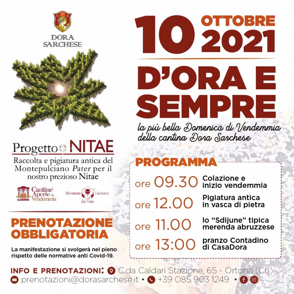 Dora Sarchese Vini