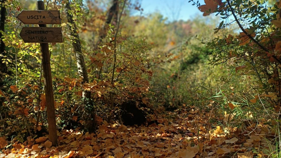 Eventi autunno 2021 della Riserva Naturale Castel Cerreto: laboratori, natura e avventura