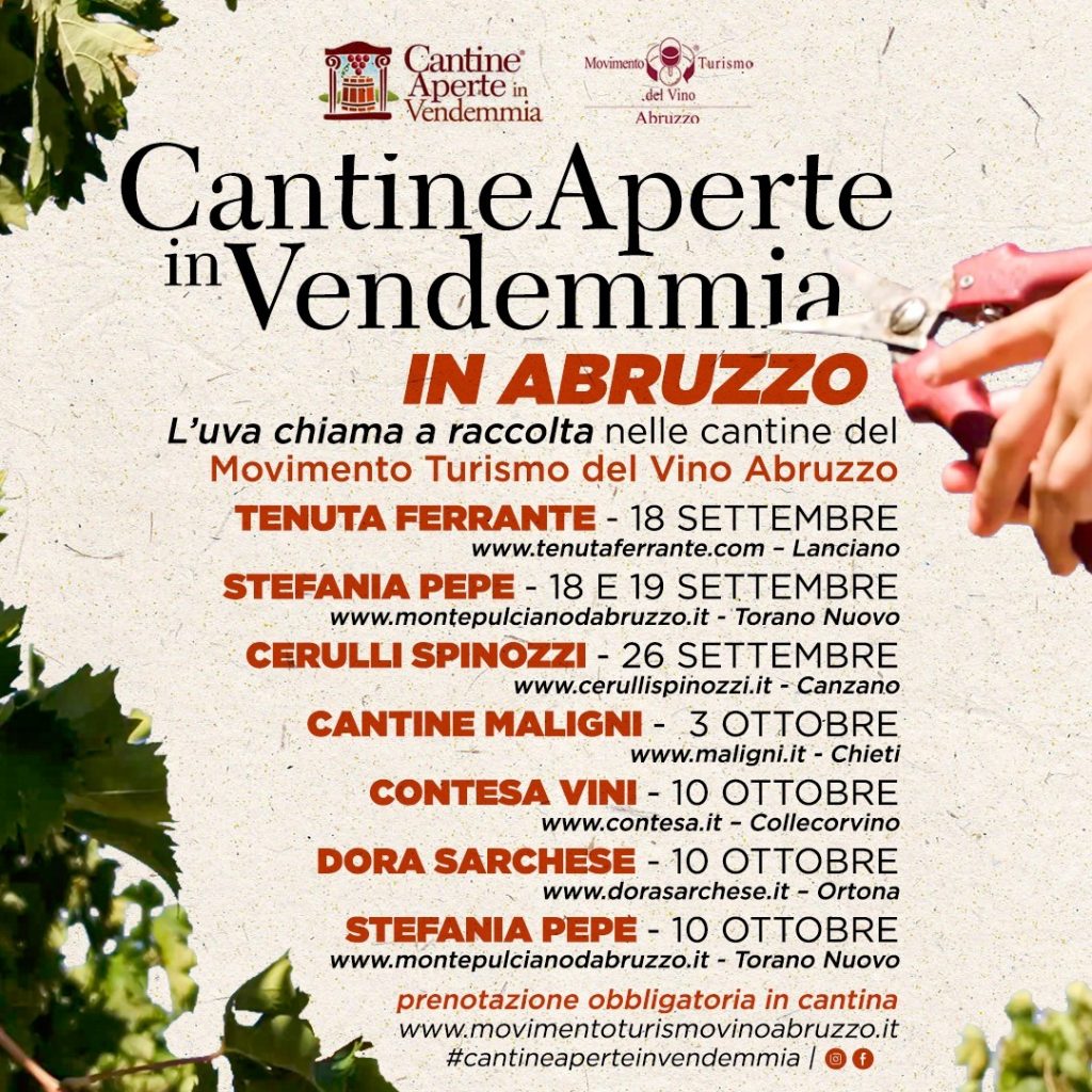 Vendemmia in Abruzzo per bambini