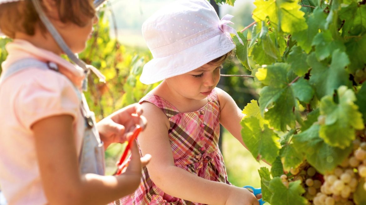 Vendemmia in Abruzzo con i bambini: Cantine Aperte in Vendemmia 2021