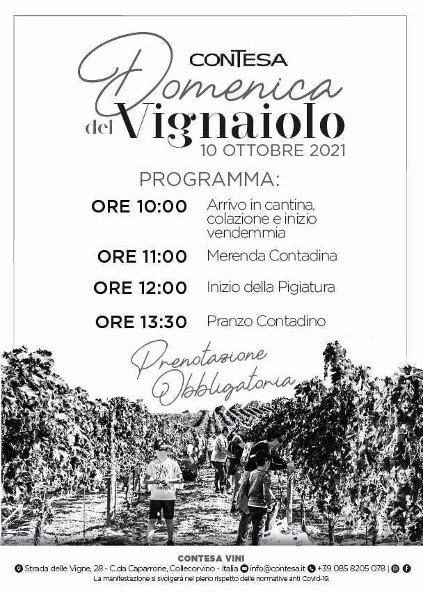 Vini Contesa