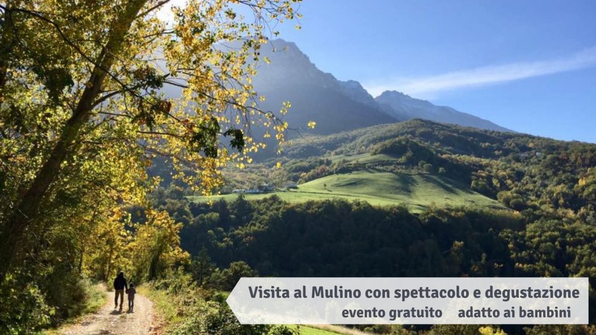 Visita al Mulino gratuita con spettacolo e degustazione ad Arsita
