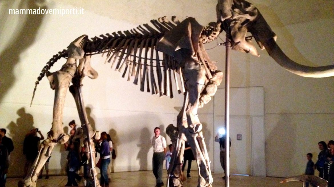 Mammut L’Aquila come prenotare la visita per aperture straordinarie al Forte Spagnolo