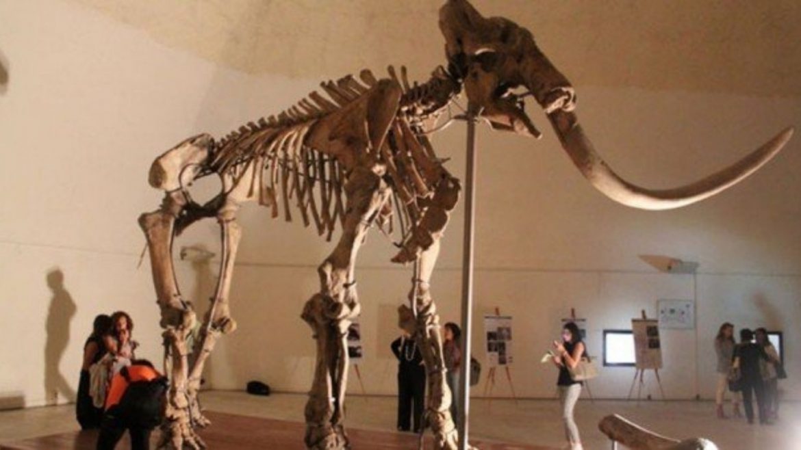 Mammut aquilano al Forte Spagnolo: visite e apertura straordinaria a L’Aquila