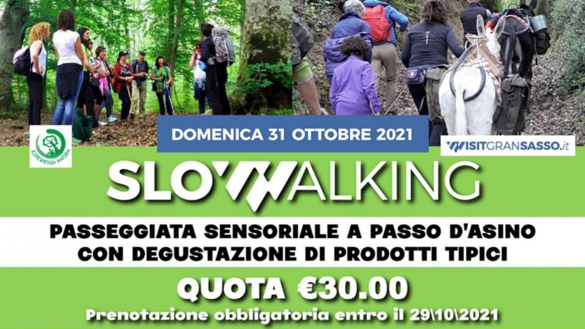 Passeggiata a passo d’asino a Castelli con degustazione