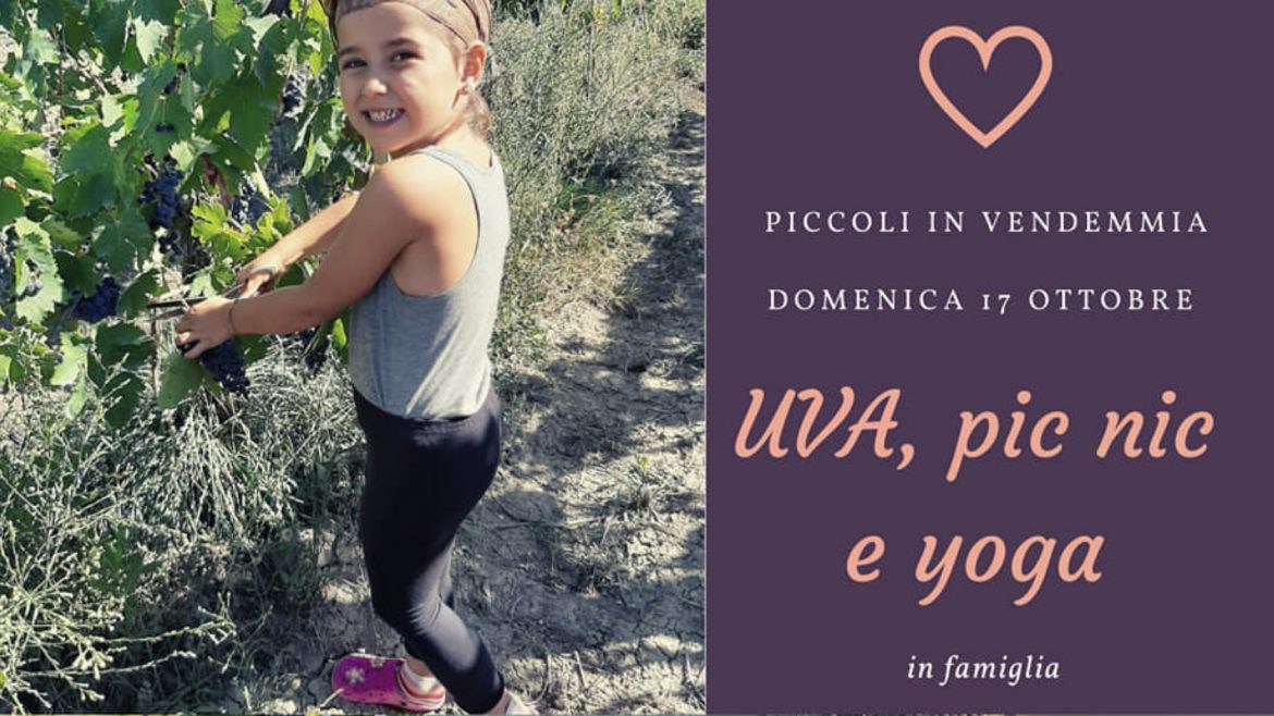 Piccoli in vendemmia da La Casa di Maira: uva, yoga e picnic