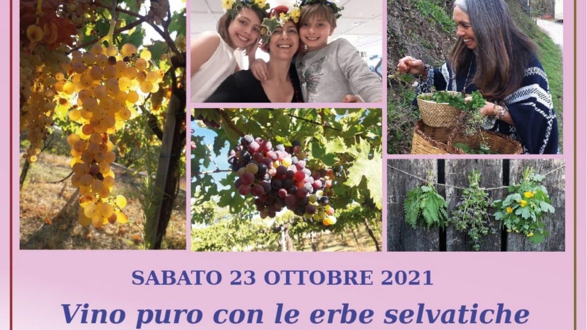 Vendemmia e raccolta erbe spontanee per i bimbi nella tenuta Stefania Pepe