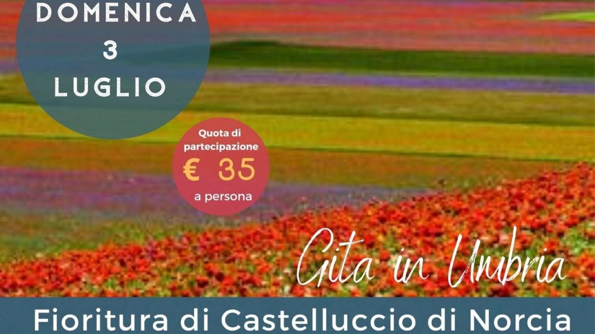 Gita in Umbria: Fioritura di Castelluccio e Norcia