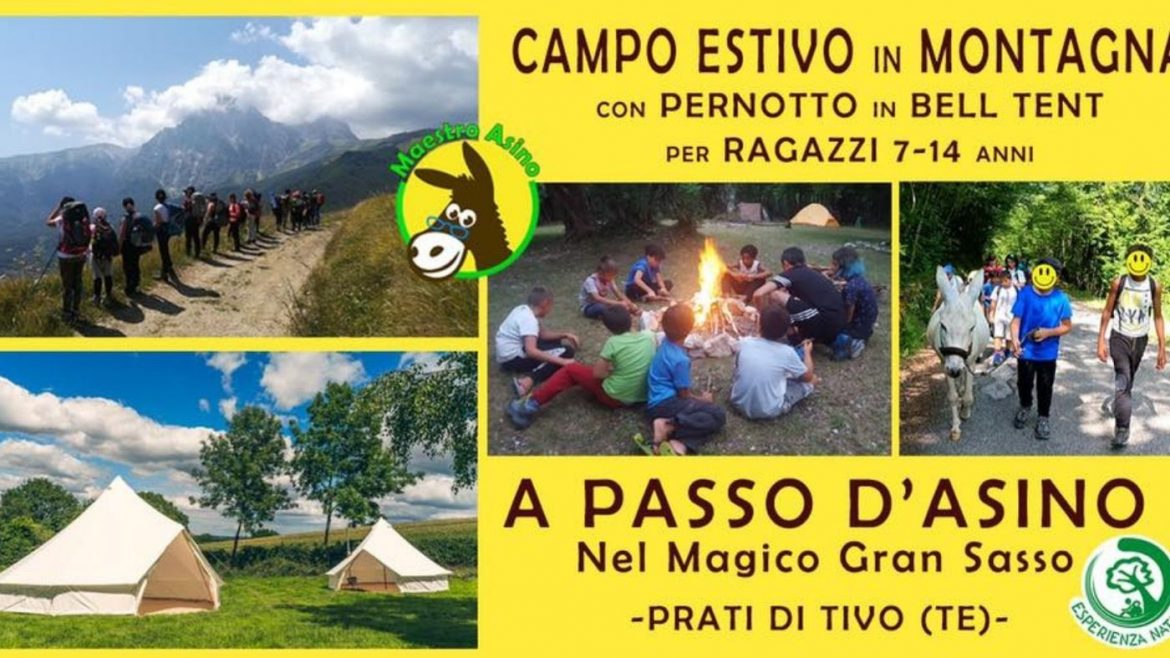 Campo estivo in montagna con gli asini in Abruzzo di Esperienza Natura