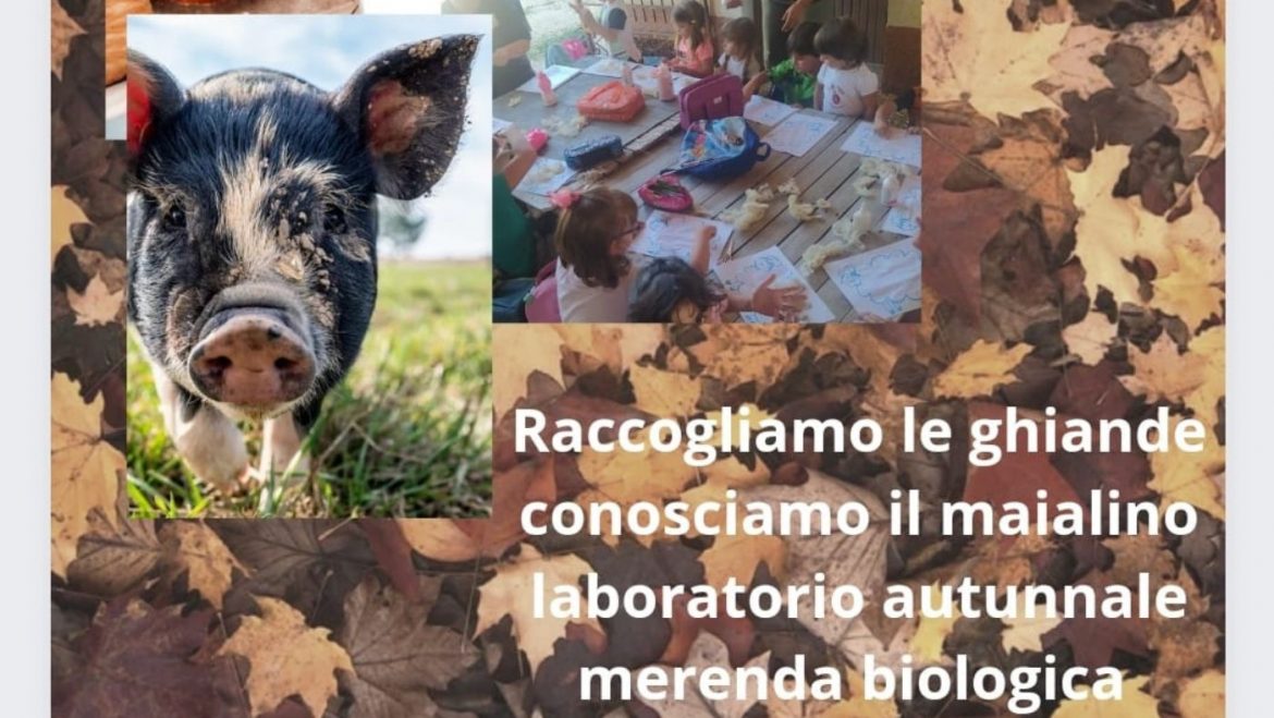 Pomeriggio in Fattoria a Catignano con laboratorio creativo