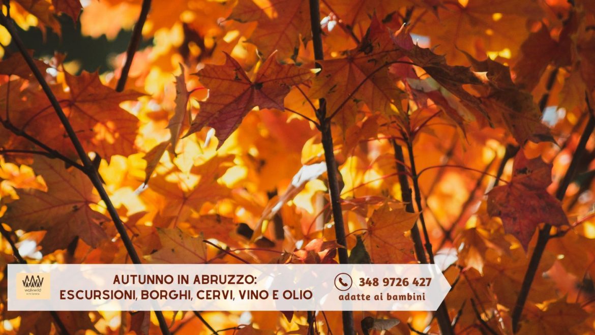 Autunno in Abruzzo: escursioni, borghi, cervi, vino e olio