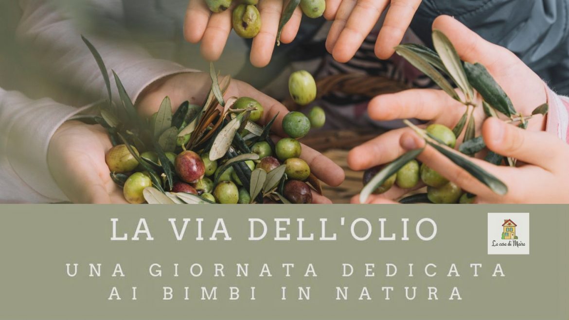 Raccolta delle olive per bambini a Catignano