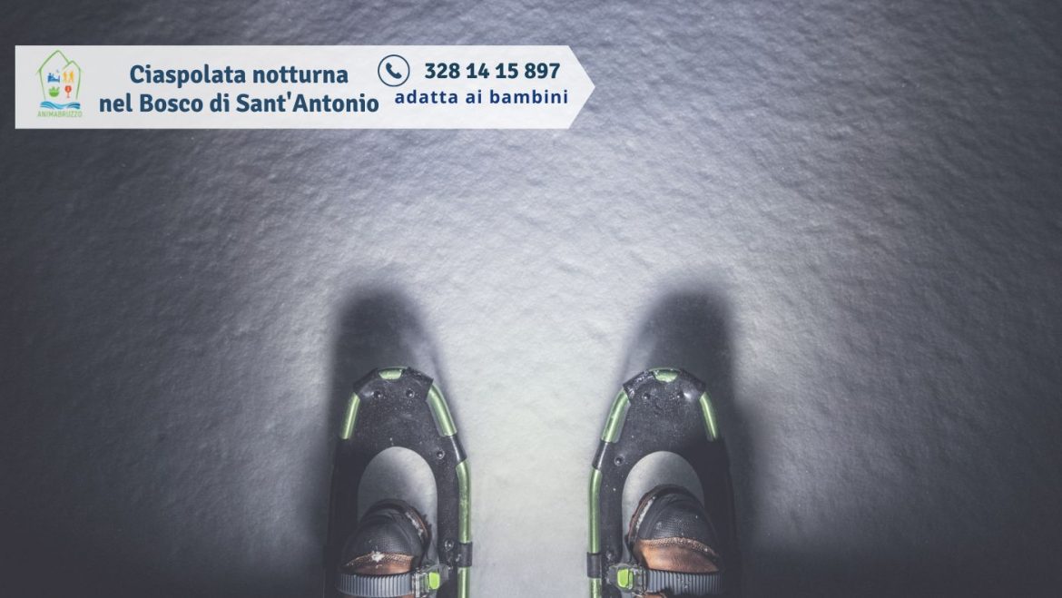 Ciaspolata a Pescocostanzo adatta ai bambini nel Bosco di Sant’Antonio