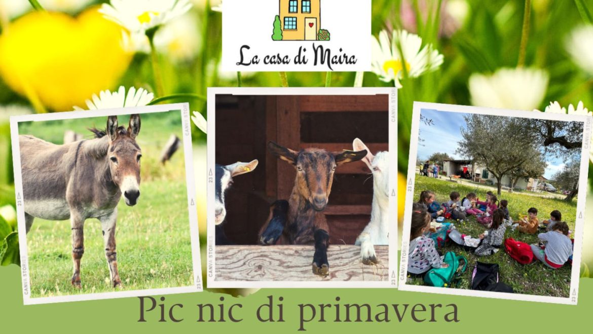Picnic di primavera in fattoria a Catignano con laboratori e giochi