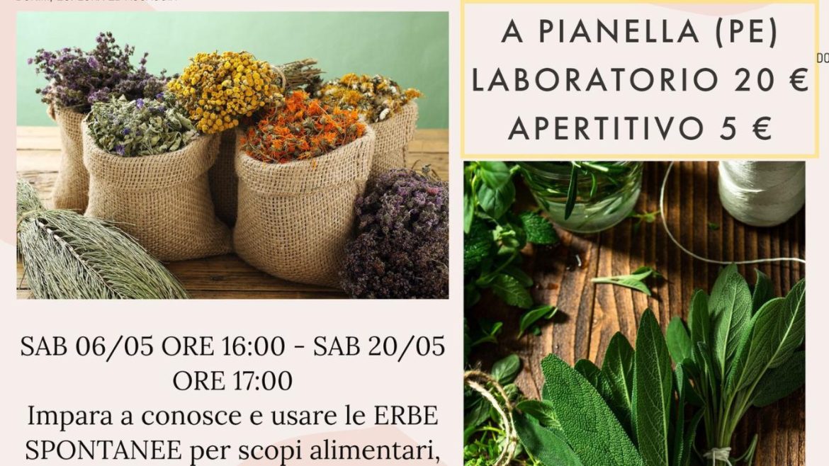 Riconoscimento delle erbe spontanee e rito di San Giovanni