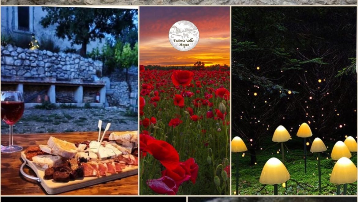 Apericena in fattoria tra coniglietti e gufi sotto la luna piena