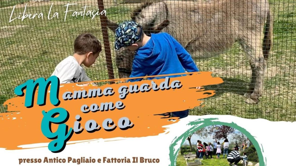 Pomeriggio in fattoria con giochi e aperitivo cenato