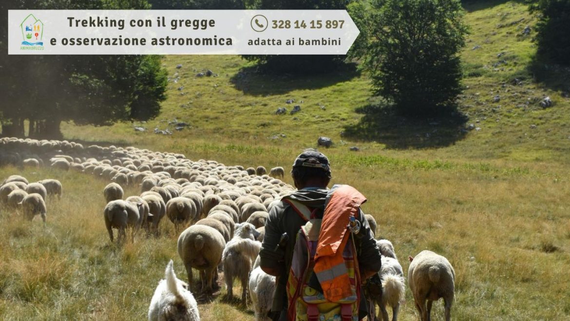 Trekking con il gregge e osservazione astronomica adatta ai bambini
