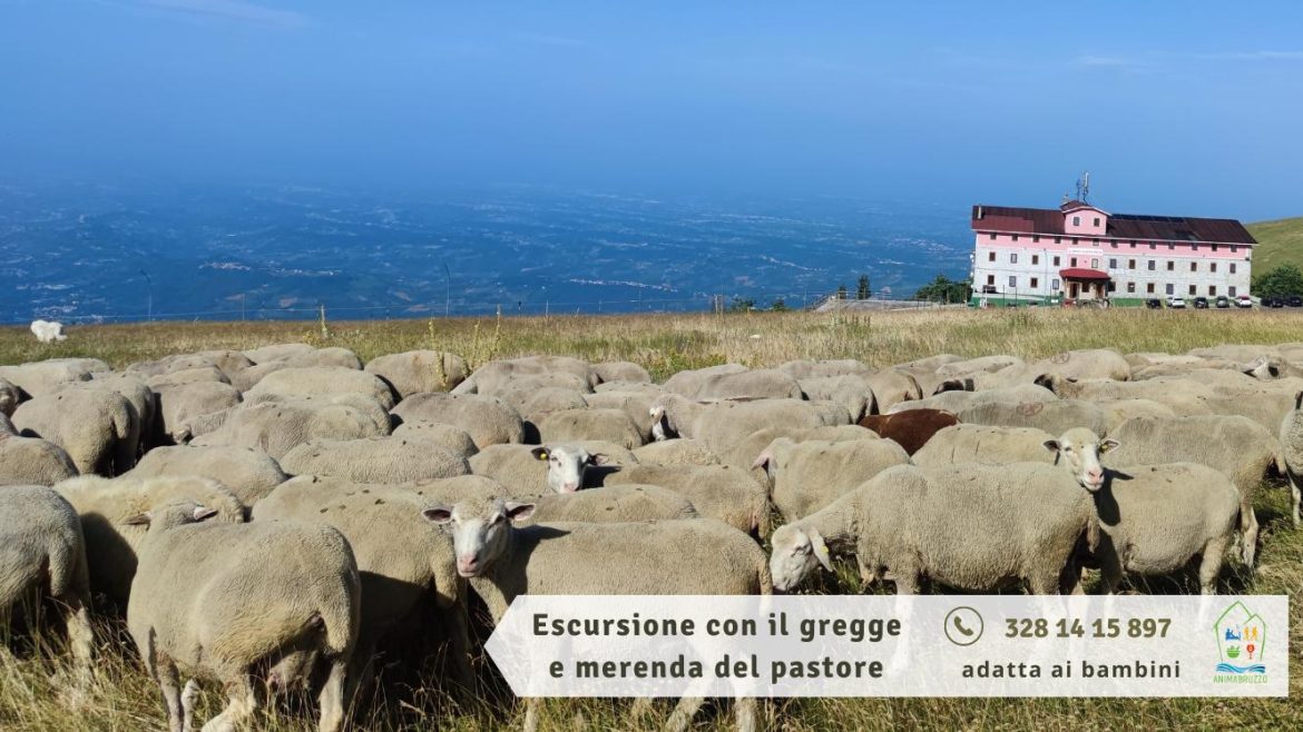 Escursione con il gregge e merenda del pastore adatta ai bambini