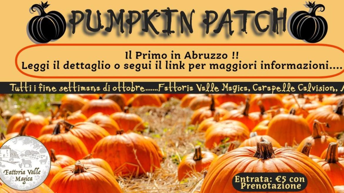 Campo di Zucche in Abruzzo il primo Pumpkin Patch nel mese di ottobre