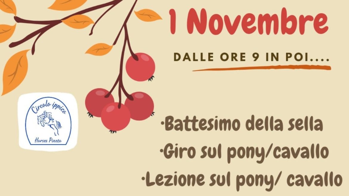 Battesimo della Sella a Pineto giro e lezione sul pony