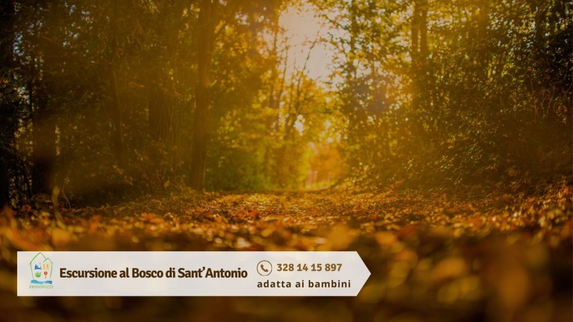 Escursione al Bosco di Sant’Antonio adatta ai bambini