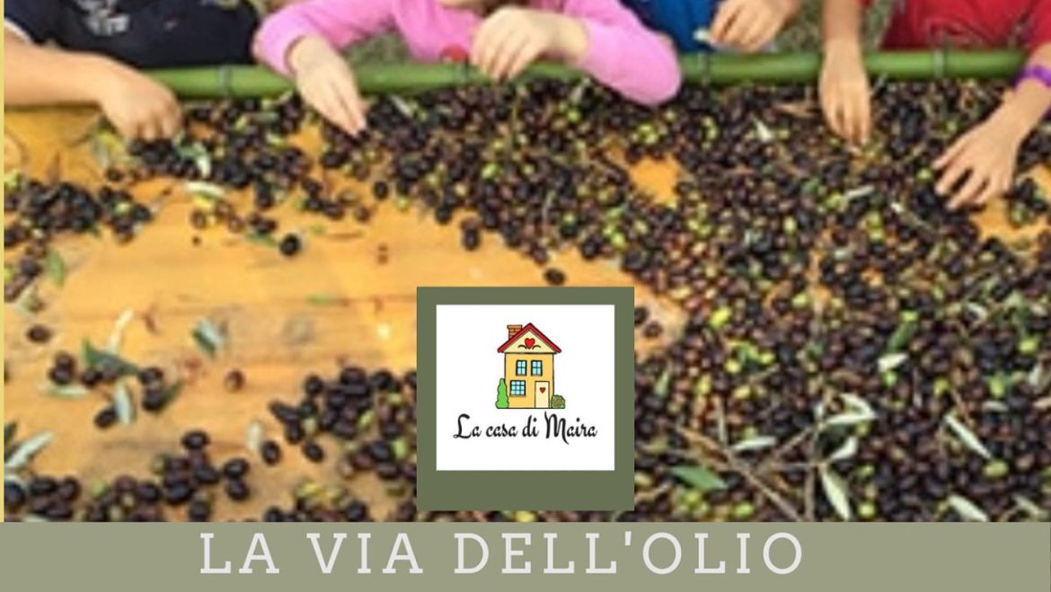La Via dell’Olio a Catignano raccolta delle olive, laboratorio e picnic