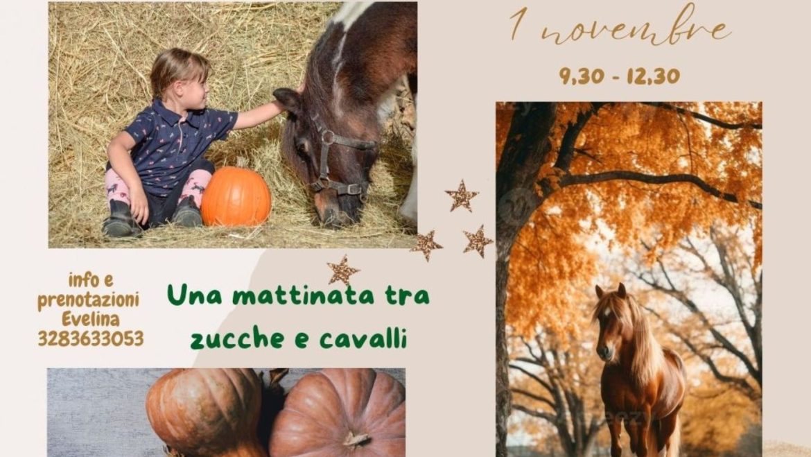 Una mattinata tra zucche e cavalli a Ortona