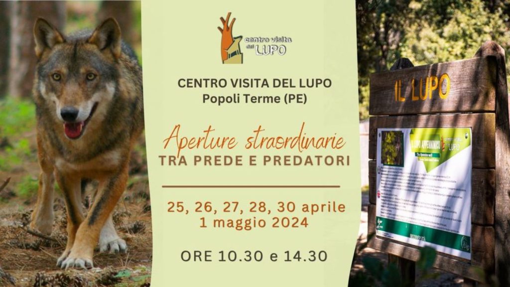 Ponte 25 aprile e 1 maggio al Centro Visite del Lupo per il Ponte del 25 aprile 2024 in Abruzzo