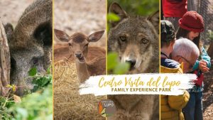 Primavera al Centro Visita del Lupo con omaggio ai lettori del blog