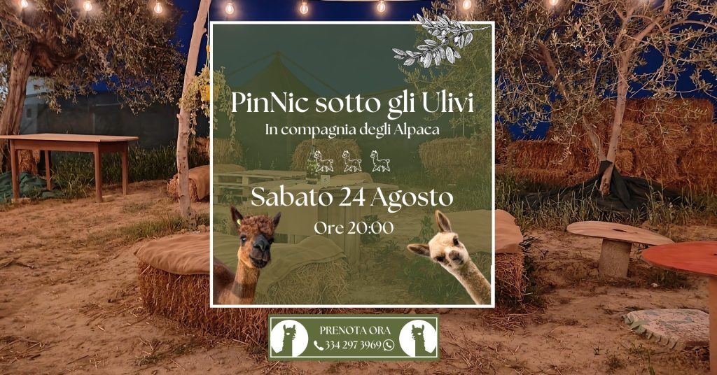 Aperitivo sotto gli ulivi a Collecorvino con prodotti tipici e visita in fattoria
