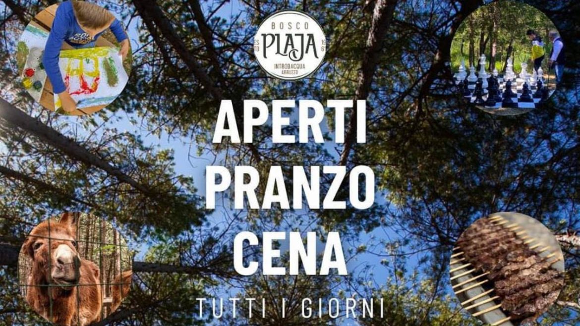 Bosco Plaja l’agriturismo nel bosco delle Fattorie Pingue a Introdacqua
