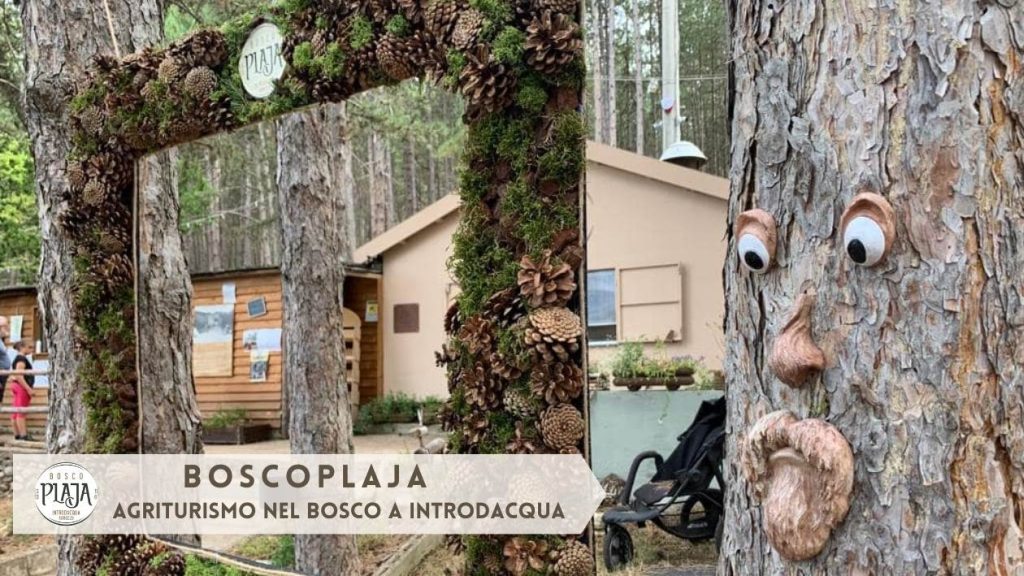 BoscoPlaja l'agriturismo nel bosco di Fattoria Pingue a Introdacqua