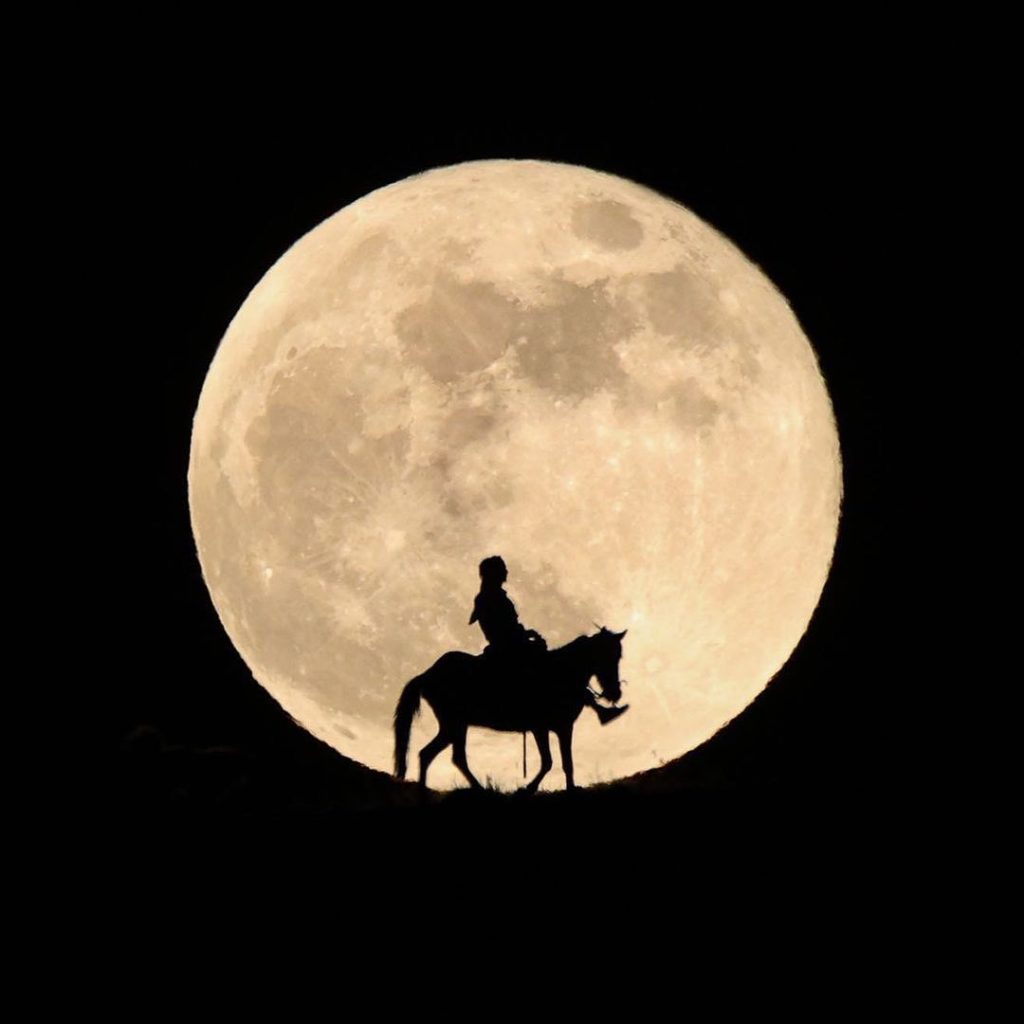 Escursioni a cavallo in notturna a Bellante tra lucciole e stelle